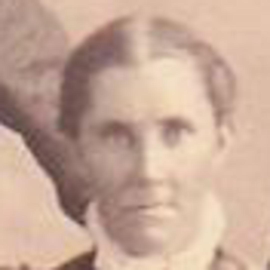 Elizabeth Winsor (1840 - 1921) Profile